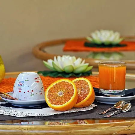 Ariston Guest house